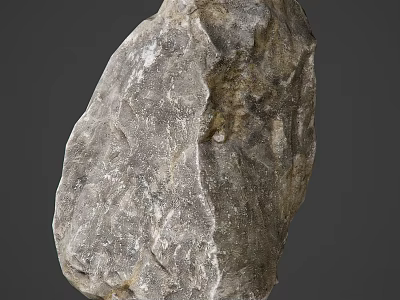Natural Stone With Rough Gray Surface And Irregular Textured Structure 3d model