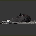 Black White And Brown Cat Lying Stretched Out On Pebble Covered Mat With Gray Background