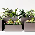 Modern Square Flower Pots with Green Foliage and Colorful Flowers for Garden Decoration