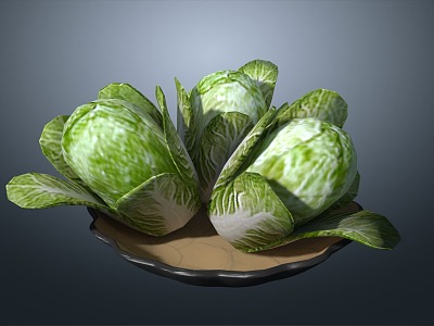 Cabbage Chinese Cabbage Vegetables 3d model