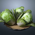 Cabbage Chinese Cabbage Vegetables 3d model