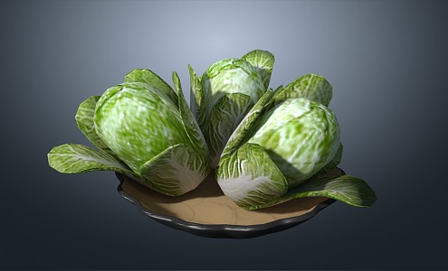 Cabbage Chinese Cabbage Vegetables 3d model