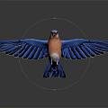 Vibrant Blue Bird With Spread Wings Perched On Reflective Surface