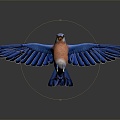 Modern bird tropical bird ornamental bird 3d model