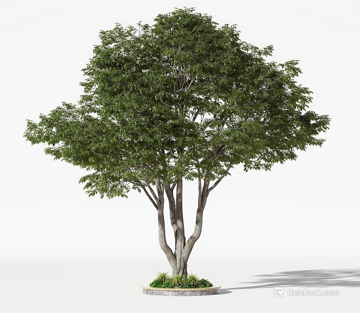Lush Green Arbor With Multiple Trunks Planted In Round Planter With Fresh Grass 3d model 