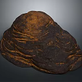 Natural Wood Stone Piece With Textured Surface And Irregular Organic Brown Orange Form