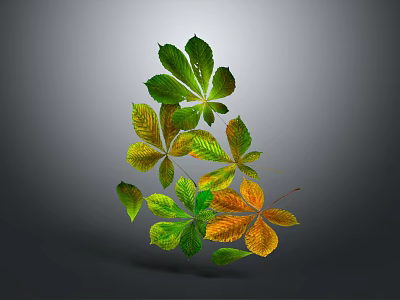 Colorful Green and Yellow Leaves with Gradient Tones on Gray Background Design 3d model