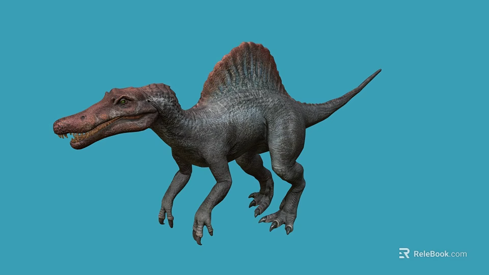 Detailed Realistic Spinosaurus Dinosaur Model With Sailback On Blue Background 3d model 