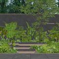 Tropical Plant Combination With Lush Greenery Various Plants Stone Steps And Wall