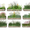 Decorative Potted Plants With Various Herbaceous Green Pink Foliage In Rectangular Planters 3d model