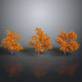 Three Trees With Orange Leaves Against Gray Background With Reflections On The Ground