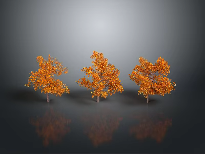 Three Trees With Orange Leaves Against Gray Background With Reflections On The Ground 3d model