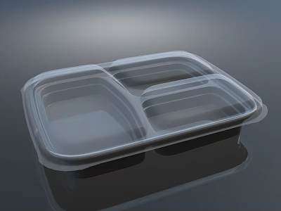 Transparent Compartment Plastic Food Container Cutlery Set For Meal Prep 3d model