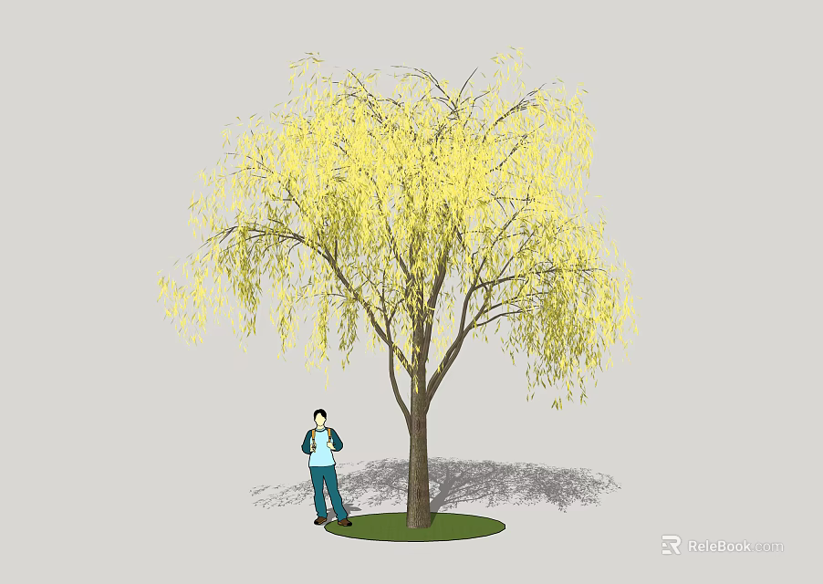 Gardener Caring for Large Willow Tree With Yellow Drooping Branches in Garden 3d model 