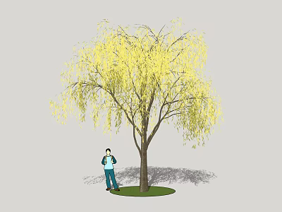 Gardener Caring for Large Willow Tree With Yellow Drooping Branches in Garden 3d model