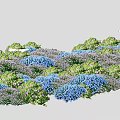 Vibrant Garden Scene With Blue Flowers And Lush Green Grass Plants