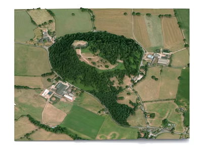 Aerial View of Rural Landscape With Lush Green Vegetation Surrounded by Rolling Farmlands 3d model