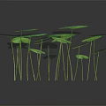 Natural Round Green Spotted Leaves With Slender Stems On Dark Background