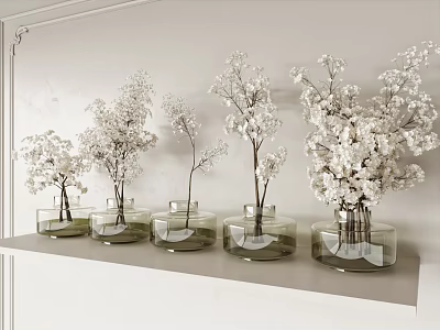 Five Transparent Glass Vases With White Flowers On White Shelf Light Background 3d model