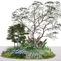 plant combination flower diameter flower and grass combination arbor shrub group net red ornamental grass 3d model