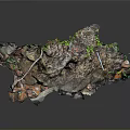 Natural Wooden Stone Decorative Art With Textured Surface And Green Moss Accents