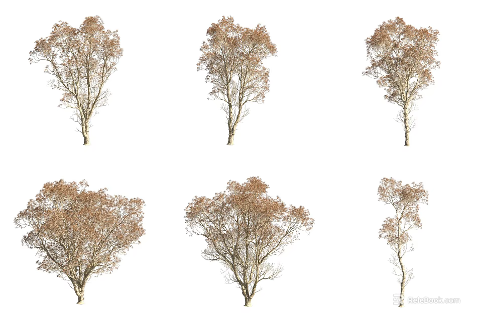 Various Arbor Trees With Brown Leaves And Distinct Trunk Shapes 3d model