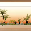 Indoor Window Sill Garden With Ferns Cacti And Green Plants Against Orange Sky