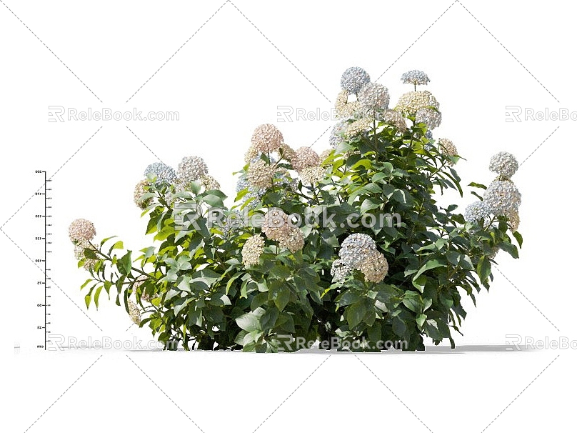 Hydrangea Purple Sunflower Hydrangea Hydrangea Hydrangea Flower Shrub Flowers Common Flowers Garden Flower Mirror Ornamental Flowers 3d model