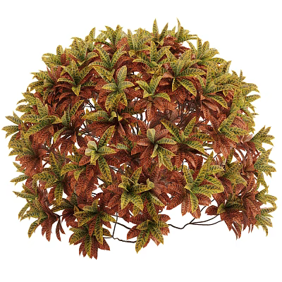 Decorative Shrub With Colorful Variegated Red Green And Yellow Leaves For Garden Decoration 3d model
