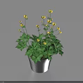 Decorative Bonsai Potted Plant with Yellow Flowers and Green Leaves in Black Pot