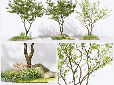 Diverse Arbor Collection Featuring Green Leaves Rock Grass And Colorful Small Flowers 3d model