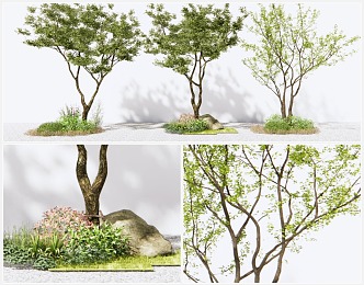 Modern Tree Landscape Tree 3d model