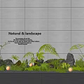 Natural Indoor Landscape Interior Design With Gray Wall Ferns Stones And Small Lights