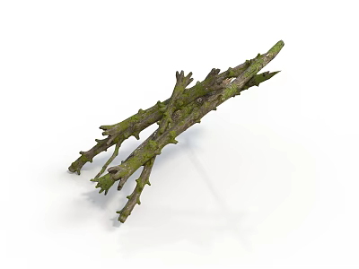 Rustic Dry Branches Covered With Vibrant Green Moss And Small Twigs 3d model