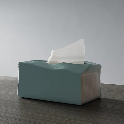 Light Green Household Tissue Box With Pulled Out Paper On Wooden Tabletop 3d model