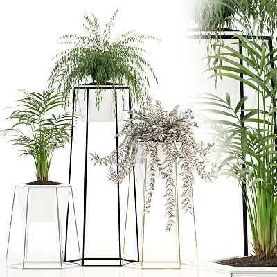 Indoor Potted Plants With Fern Palm And Metal White Stands For Home Decor 3d model