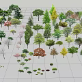 Various Arbor Trees With Diverse Foliage In Grid Layout For Landscape Design 3d model
