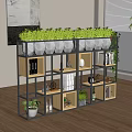 Multi tiered Plant Shelf With Black Frame Wooden Compartments Holding Green Plants Books And Decorations
