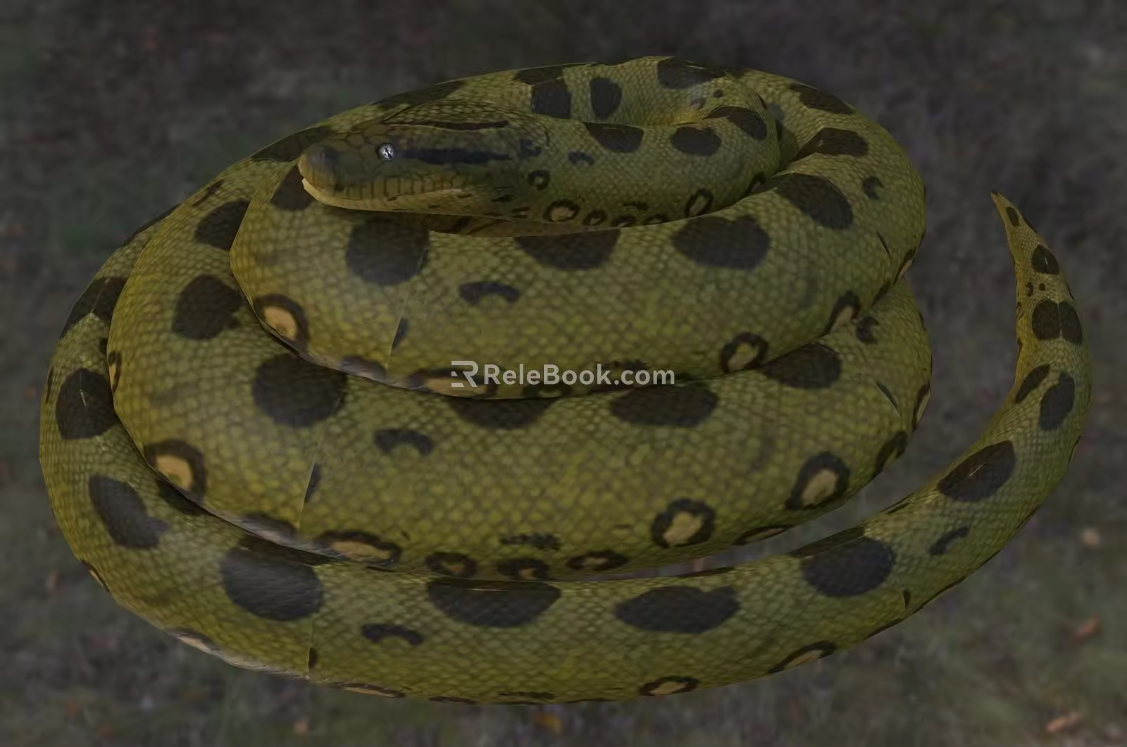 Green Anaconda Green Water Python Cold Blooded Animal 3d model