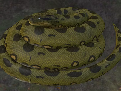 Green Spotted Reptile Python with Coiled Body in Natural Wildlife Habitat 3d model