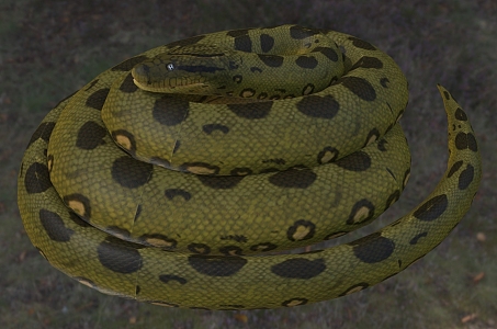 Green Anaconda Green Water Python Cold Blooded Animal 3d model