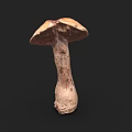 Fresh Brown Mushroom Vegetable With Natural Stem And Cap Texture For Cooking 3d model