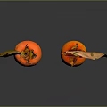 Orange Persimmons With Red Green Leaves Against Gray Background With Reflection