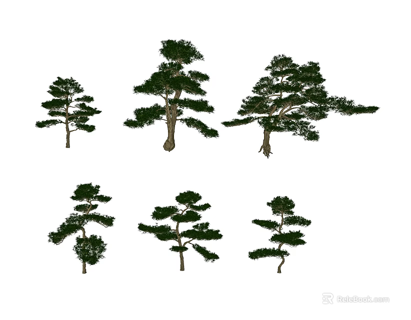 Arbor Trees With Various Growth Shapes And Diverse Crown Structures In Landscape 3d model 