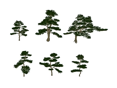 Arbor Trees With Various Growth Shapes And Diverse Crown Structures In Landscape 3d model