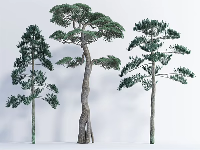 Three Different Shaped Arbor Trees With Curved Trunks And Lush Foliage 3d model