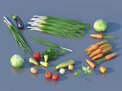 Fresh Organic Assorted Vegetables With Carrots Cabbage Tomatoes Scallions And Herbs 3d model