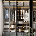 Modern Walk-in Closet With Glass Doors Hanging Clothes Storage And LED Lighting
