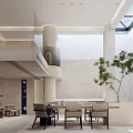 Basement Interior With Modern Design Skylight Natural Light Dining Table And Green Plant