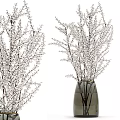 Decorative Red Berry Branches Arranged In Glass Vase For Home Decoration